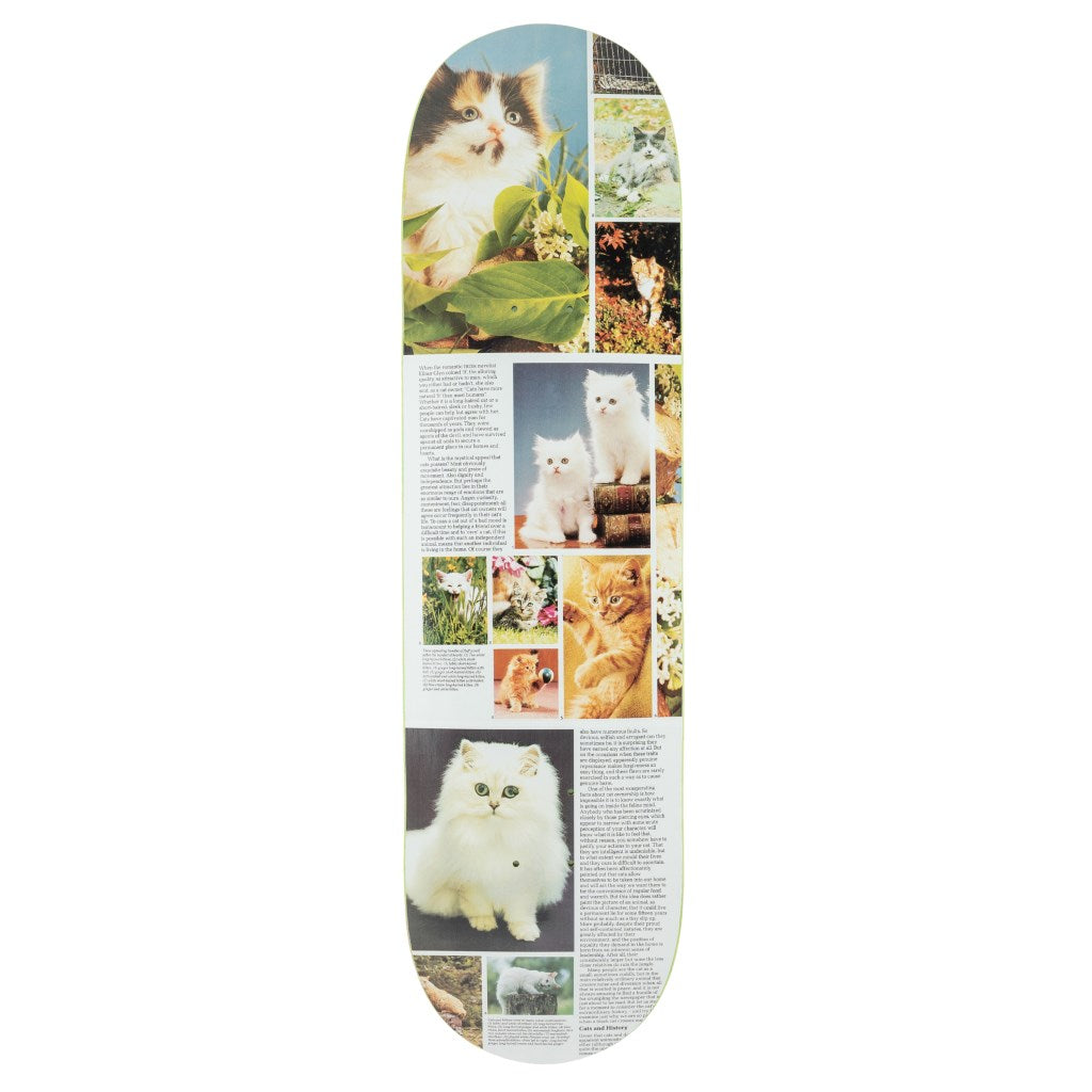 Cat Book - Mystical Appeal - Skateboard - SOLD OUT