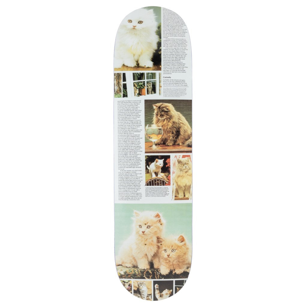 Cat Book - Curiousity - Skateboard - SOLD OUT