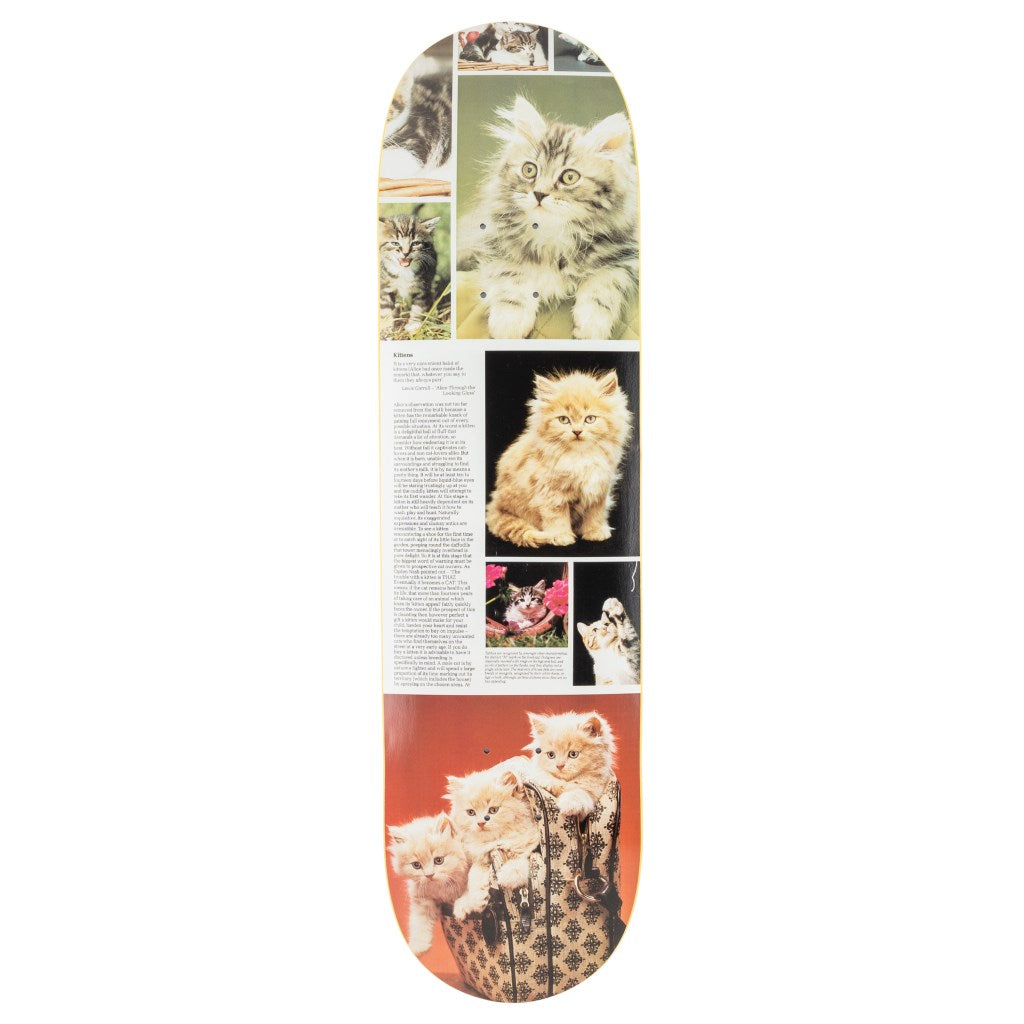 Cat Book - Kittens - Skateboard - SOLD OUT