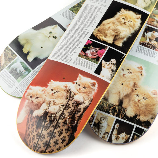 Cat Book - Mystical Appeal - Skateboard - SOLD OUT