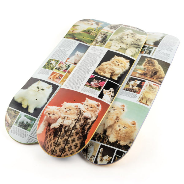 Cat Book - Kittens - Skateboard - SOLD OUT